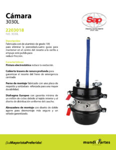 FICHAS SAP-02